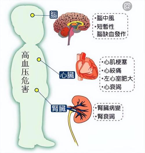 血压高降有什么方法,让发货找车找物流更简单_123随叫随到