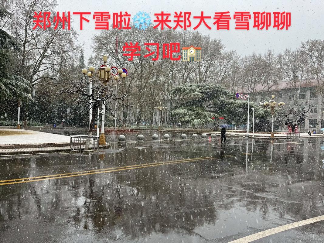 郑州下雪,物流专线直达_123随叫随到